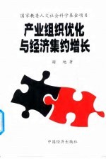 产业组织优化与经济集约增长