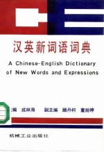 汉英新词语词典