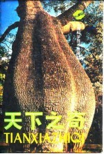 天下之奇
