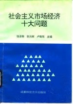 社会主义市场经济十大问题
