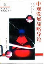中观发展战略导论