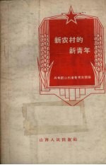 新农村的新青年