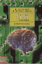 仿脑 从科幻到现实
