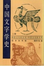 中国文字学史 上