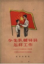 少先队辅导员怎样工作 北京市少先队辅导员工作经验