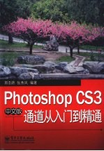 Photoshop CS3中文版通道从入门到精通