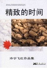 精致的时间 冷宇飞红作品集