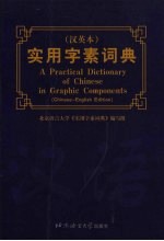 实用字素词典 汉英本