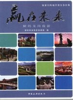赢在未来 解码龙岗旅游