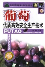 葡萄优质高效安全生产技术