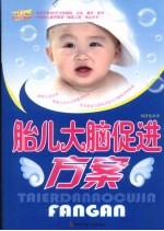 胎儿大脑促进方案