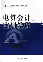 电算会计实训教程