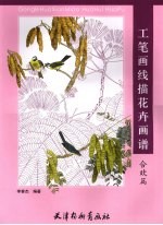 工笔画线描花卉画谱 合欢篇