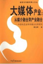 大媒体产业:从媒介融合到产业融合 中美电信业和传媒业关系研究