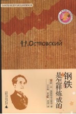 钢铁是怎样炼成的