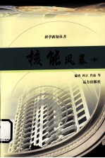 核能风暴 中
