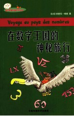 在数字王国的神秘旅行