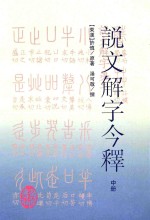 说文解字今释 中