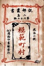 模范町村 政治小说