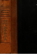 法华新字典