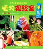 小学生最喜欢做的实验 植物实验室