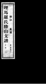 埋马罗氏胜山支谱 第2册