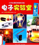 小学生最喜欢做的实验 电子实验室