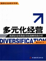 多元化经营 旅游企业实施多元化战略实战分析