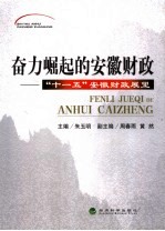 奋力崛起的安徽财政 “十一五”安徽财政展望