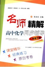 名师精解·高中化学同步辅导 二年级 下