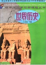 世界历史 八年级 下