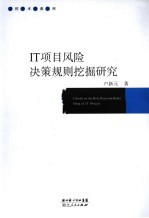 IT项目风险决策规则挖掘研究