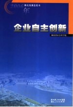 2006年湖北发展蓝皮书 企业自主创新