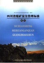 四川省煤矿安全管理标准 试行