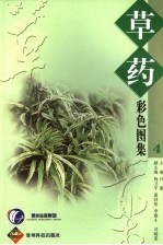 草药彩色图集 4