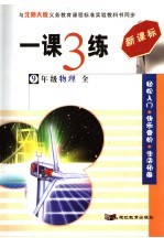 一课3练·物理 九年级全 北师大版