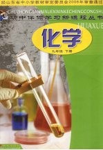 化学 九年级 下