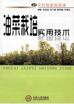 油菜栽培实用技术