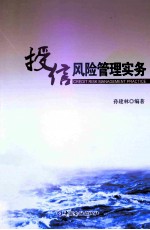 授信风险管理实务