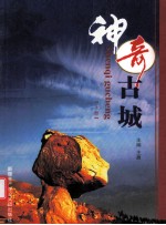 神奇古城 上