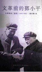 文革前的邓小平 毛泽东的副帅 1956-1966
