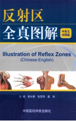 反射区全真图解 汉英对照 中英文对照