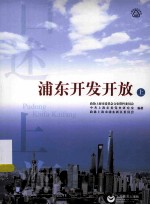 浦东开发开放 上