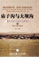 庙子沟与大坝沟 新石器时代遗址发掘报告 下