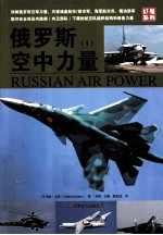 俄罗斯空中力量 1