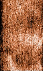 樊山公牍 7