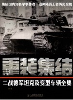 重装集结 二战德军坦克及变型车辆全集