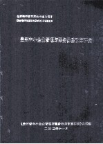 世界银行第4期技术援助项目《地方政府改革研究及试点》子课题之四 贵州省中小企业管理与服务体系改革研究