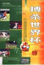 搏杀世界杯 中国国家足球队龙虎榜