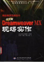 精彩网页范例设计 中文版Dreamweaver MX现场实作